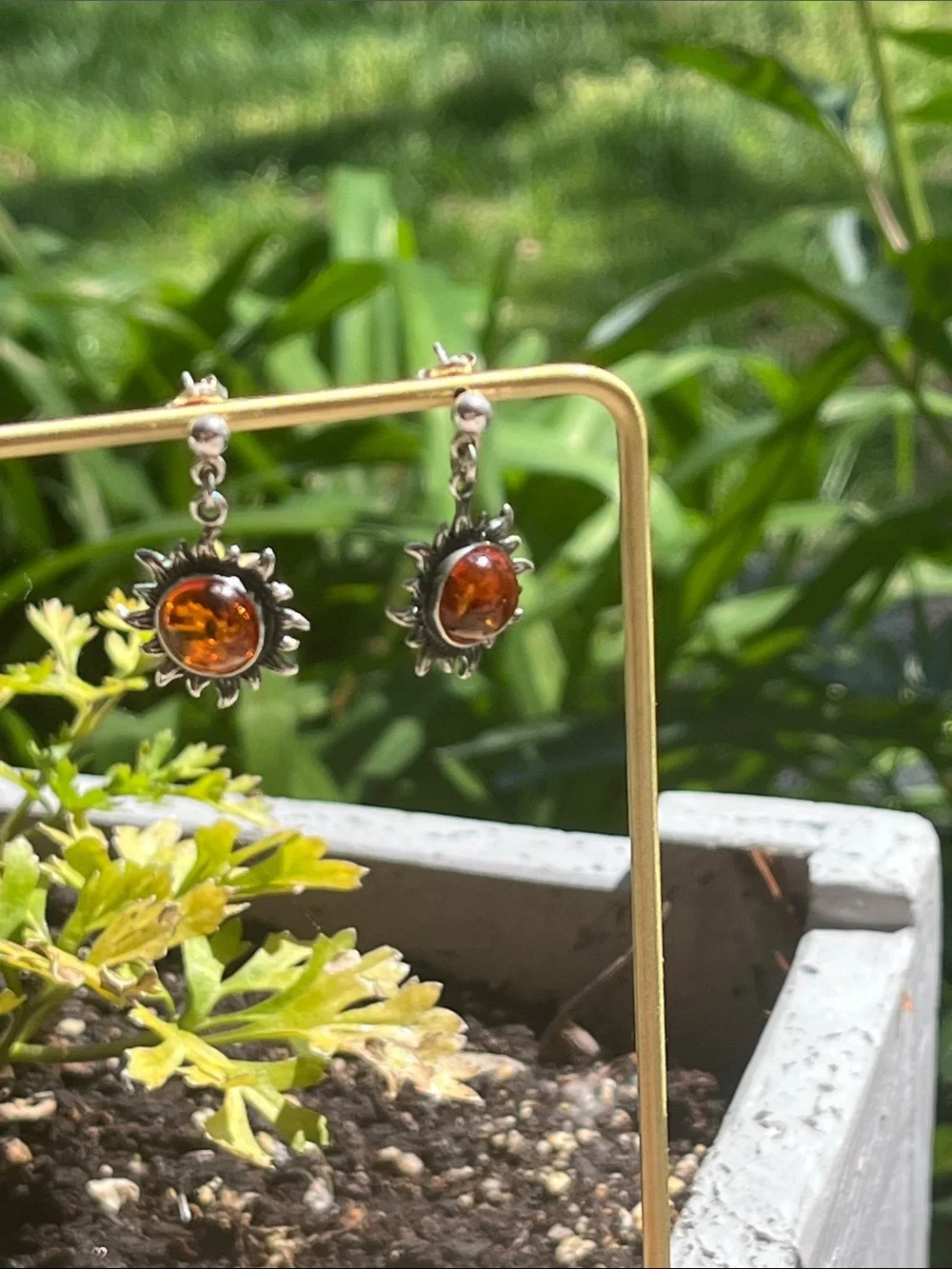 Sterling Silver Amber Sunburst Dangle Earrings - Picture 4 of 13